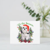 Shih Tzu "Tis Postkarte (Stehend Vorderseite)