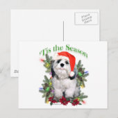 Shih Tzu "Tis Postkarte (Vorne/Hinten)