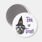 Shih Tzu Trick Magnet (Vorderseite/Rückseite)