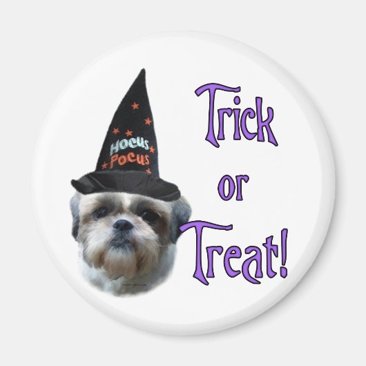 Shih Tzu Trick Magnet (Vorne)