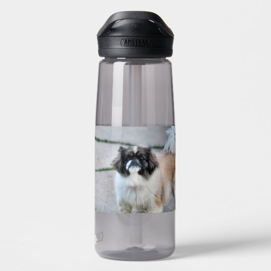 Shih Tzu Trinkflasche (Rückseite)