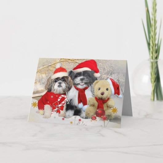 Shih Tzu u. Teddybär-Weihnachtskarte Feiertagskarte (Vorderseite)