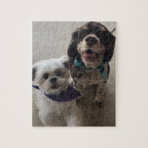 Shih Tzu und Cocker spaniel-Hundepuzzlespiel