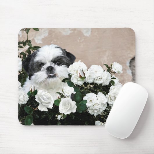Shih Tzu und Rose Mousepad (Mit Mouse)
