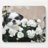 Shih Tzu und Rose Mousepad (Vorne)