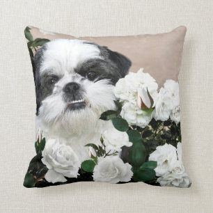 Shih Tzu und Rosen Kissen
