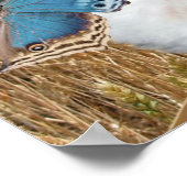 Shih Tzu und Schmetterlinge drucken Poster (Ecke)