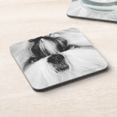 Shih Tzu Untersetzer (Linke Seite)