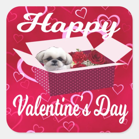 Shih tzu Valentine's Day Sticker, Hund Quadratischer Aufkleber (Vorderseite)