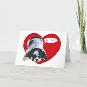 Shih Tzu Valentines Feiertagskarte