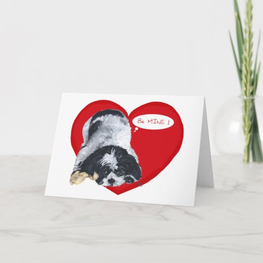 Shih Tzu Valentines Feiertagskarte (Vorderseite)