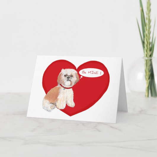Shih Tzu Valentines Feiertagskarte (Vorderseite)