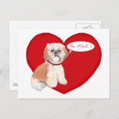 Shih Tzu Valentines Feiertagspostkarte (Vorne/Hinten)