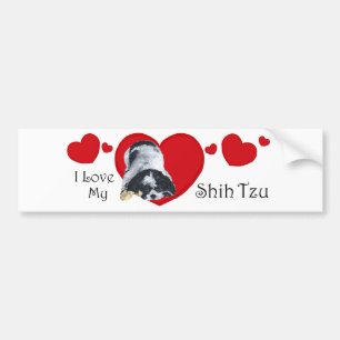 Shih Tzu Valentinstag Autoaufkleber