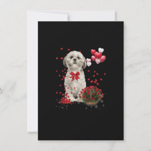 Shih Tzu Valentinstag Lustiger Hunde Liebhaber Fro Einladung