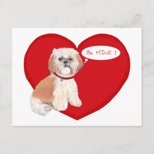 Shih Tzu Valentinstage Feiertagspostkarte