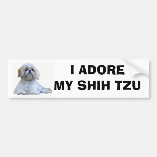 Shih Tzu verehre ich Autoaufkleber (Vorne)