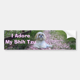 Shih Tzu verehren Autoaufkleber