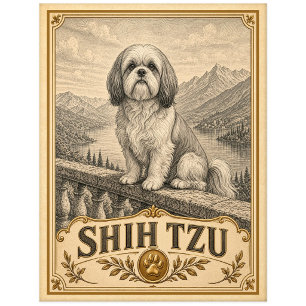 Shih Tzu, Vintage-Heritage-Hund Postkarte