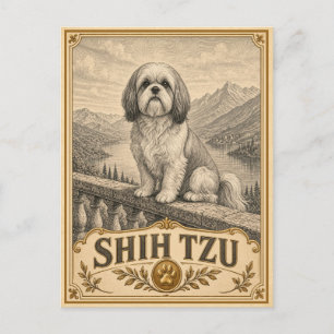 Shih Tzu, Vintage-Heritage-Hund Postkarte
