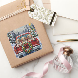 Shih Tzu Weihnachten Rotes Lastwagen Ferien Quadratischer Aufkleber