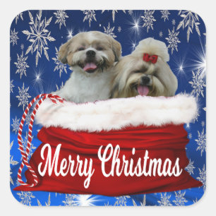 Shih tzu Weihnachtsaufkleber Quadratischer Aufkleber