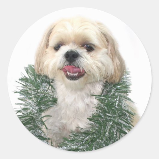 Shih Tzu Weihnachtsaufkleber Runder Aufkleber (Vorderseite)