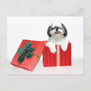 Shih Tzu Weihnachtsgeschenk Feiertagspostkarte