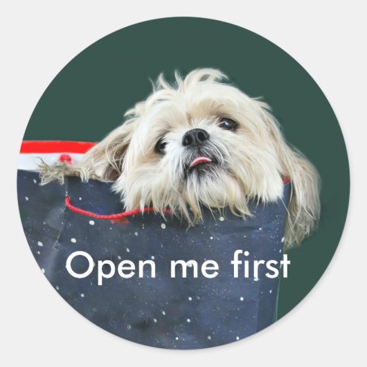 Shih Tzu Weihnachtsgeschenk Runder Aufkleber (Vorderseite)