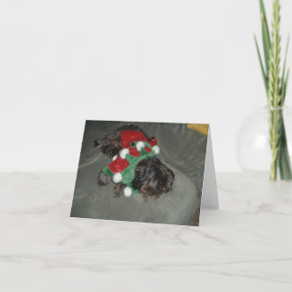 Shih Tzu Weihnachtskarte Feiertagskarte