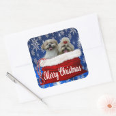 Shih tzu Weihnachtskleber Quadratischer Aufkleber (Umschlag)
