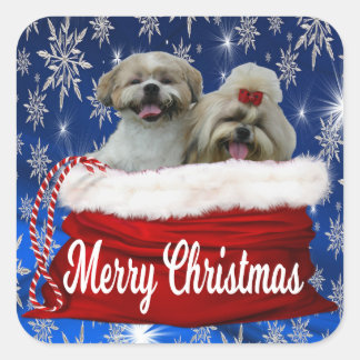 Shih tzu Weihnachtskleber Quadratischer Aufkleber