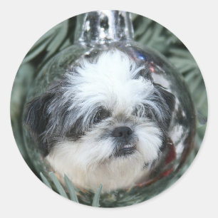 Shih Tzu Weihnachtsschmuck Runder Aufkleber