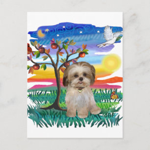 Shih Tzu Welpe #2 Postkarte