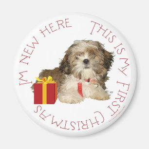 Shih Tzu Welpe erstes Weihnachten Magnet