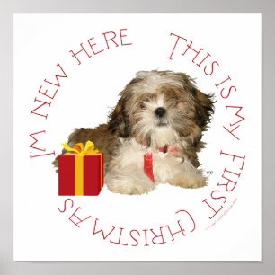 Shih Tzu Welpe erstes Weihnachten Poster