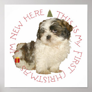Shih Tzu Welpe erstes Weihnachten Poster