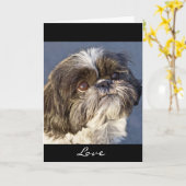 Shih Tzu Welpe Grußkarte - Verse Inside Karte (Gelbe Blume)