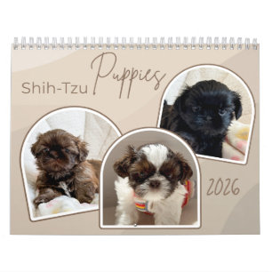 Shih-Tzu-Welpen Foto-Collage-Kalender Kalender