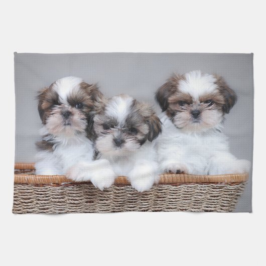 Shih Tzu Welpen Geschirrtuch (Horizontal)