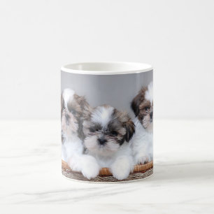 Shih Tzu Welpen Kaffeetasse