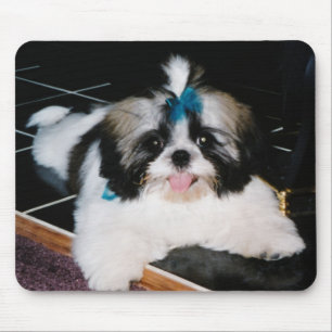 Shih-Tzu-Welpen-Mauspad Mousepad