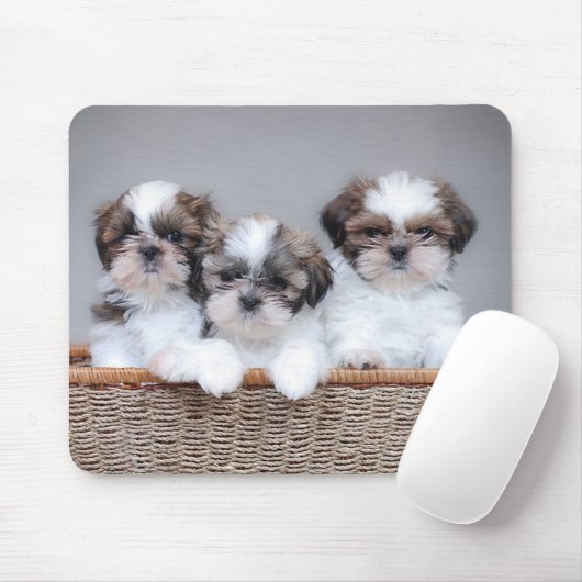 Shih Tzu Welpen Mousepad (Mit Mouse)
