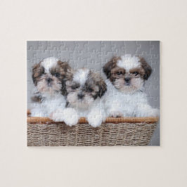 Shih Tzu Welpen Puzzle