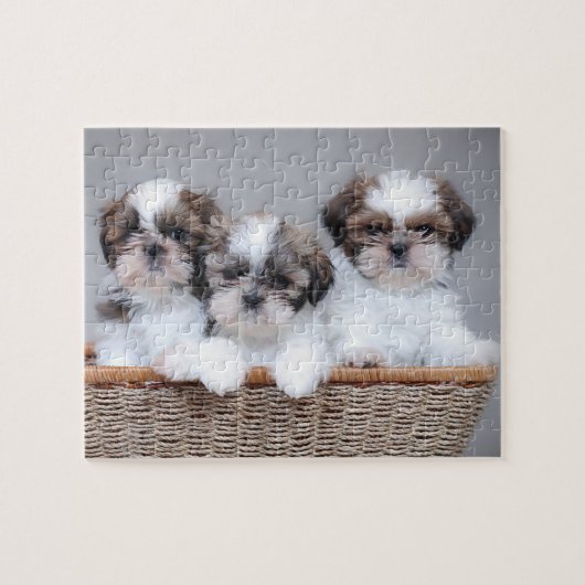 Shih Tzu Welpen Puzzle (Horizontal)