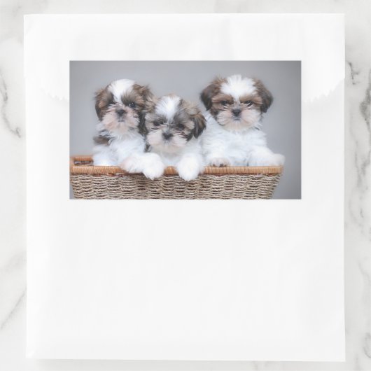 Shih Tzu Welpen Rechteckiger Aufkleber (Tasche)