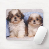 Shih Tzu Welpen unter einer kontrollierten Decke Mousepad (Mit Mouse)