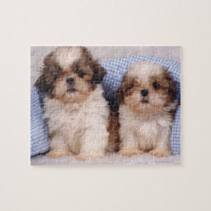 Shih Tzu Welpen unter einer kontrollierten Decke Puzzle