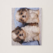 Shih Tzu Welpen unter einer kontrollierten Decke Puzzle (Vertikal)