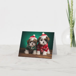 Shih Tzu Welppies Weihnachtskarte Karte